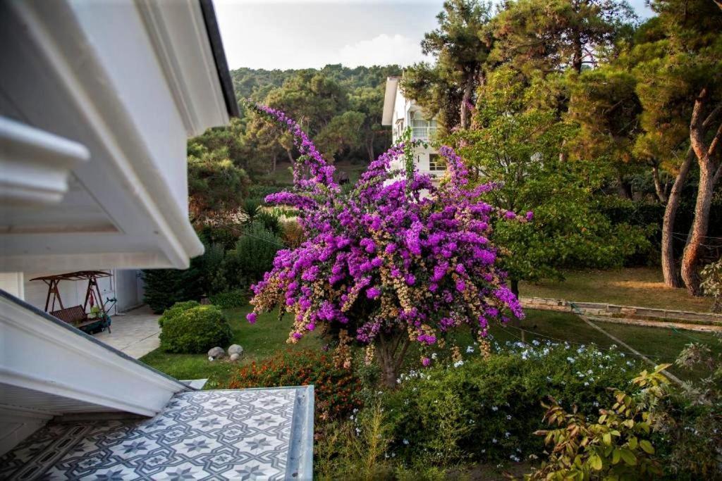 Triada Hotel Bueyuekada อดาลาร์ ภายนอก รูปภาพ